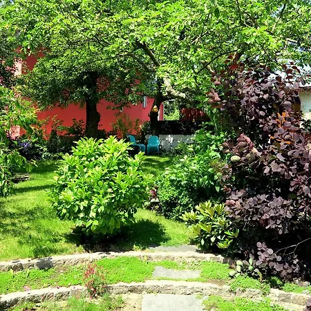 Rotschau Im Vogtland Апартаменты *