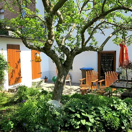 Апартаменты Rotschau Im Vogtland Райхенбах-им-Фогтланд