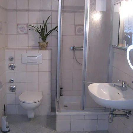 Rotschau Im Vogtland Апартаменты Райхенбах-им-Фогтланд