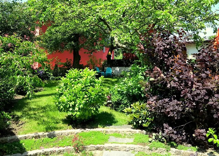 Rotschau Im Vogtland Apartment *